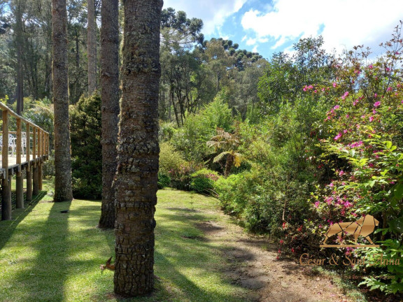 Imagem Imóvel Comercial à Venda, 1.240 m² em Descansópolis - Campos Do Jordão Imagem Imóvel Comercial à Venda, 1.240 m² em Descansópolis - Campos Do Jordão