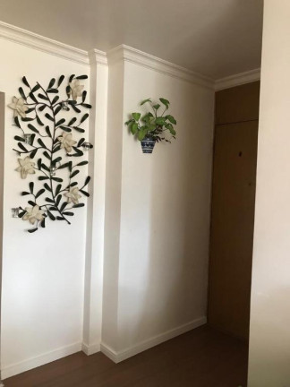 Imagem Apartamento com 2 Quartos à Venda, 52 m² em Vila Constança - São Paulo Imagem Apartamento com 2 Quartos à Venda, 52 m² em Vila Constança - São Paulo