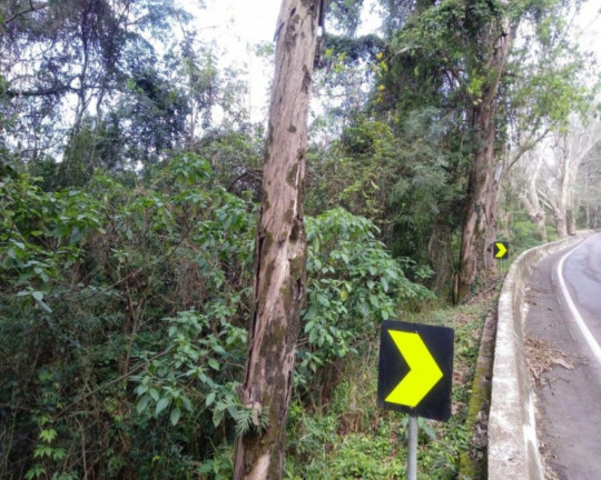 Imagem Imóvel à Venda, 78.835 m² em Br116 - Nova Petrópolis