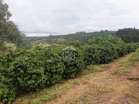 Imagem Imóvel à Venda, 30.000 m² em Conceição (rural) - Palmeiral Imagem Imóvel à Venda, 30.000 m² em Conceição (rural) - Palmeiral