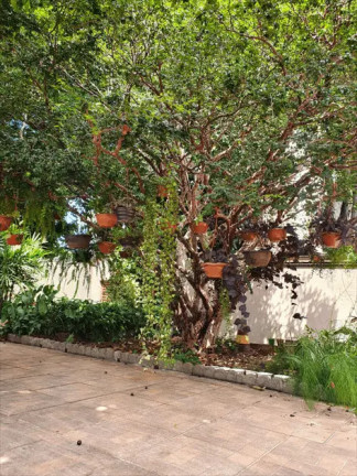 Imagem Casa com 2 Quartos à Venda, 288 m² em Setor Leste Universitário - Goiânia Imagem Casa com 2 Quartos à Venda, 288 m² em Setor Leste Universitário - Goiânia