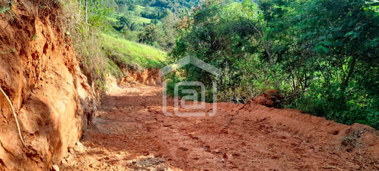 Imagem Imóvel com 1 Quarto à Venda, 44.000 m² em Roseira - Bandeira Do Sul