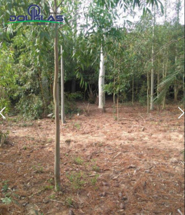 Imagem Chácara à Venda, 2 m² em Viamão Imagem Chácara à Venda, 2 m² em Viamão