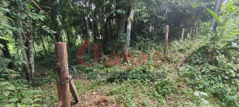 Imagem Terreno à Venda, 270 m² em Massaguaçu - Caraguatatuba