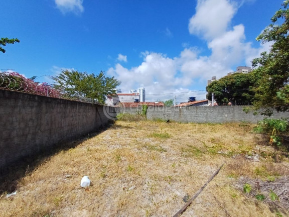 Imagem Terreno à Venda, 765 m² em Ponta Negra - Natal