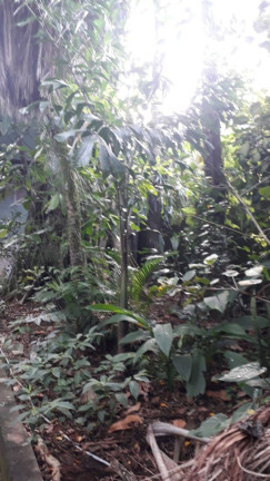 Imagem Terreno à Venda, em Vila Nossa Senhora De Fátima - São Vicente Imagem Terreno à Venda, em Vila Nossa Senhora De Fátima - São Vicente