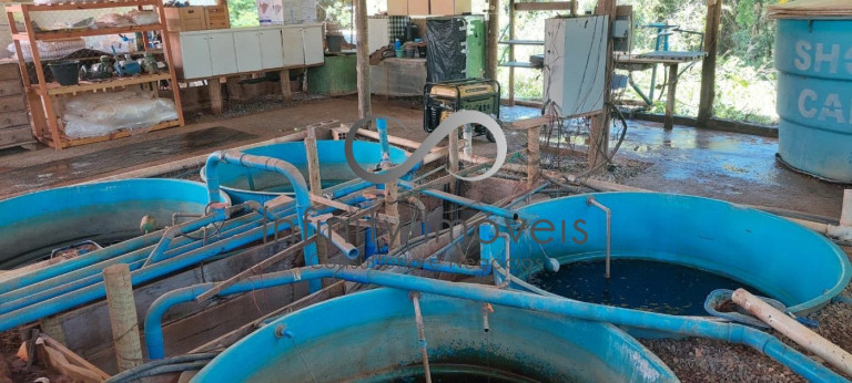 Imagem Chácara com 8 Quartos à Venda, em Zona Rural - Jaboticatubas Imagem Chácara com 8 Quartos à Venda, em Zona Rural - Jaboticatubas