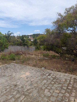 Imagem Terreno à Venda, 1.029 m² em Praia Da Pipa - Tibau Do Sul Imagem Terreno à Venda, 1.029 m² em Praia Da Pipa - Tibau Do Sul