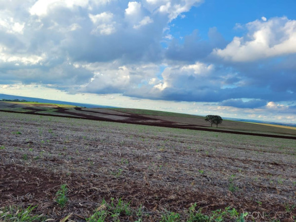 Imagem Fazenda à Venda, 2.057.000 m² em Centro - Cambé
