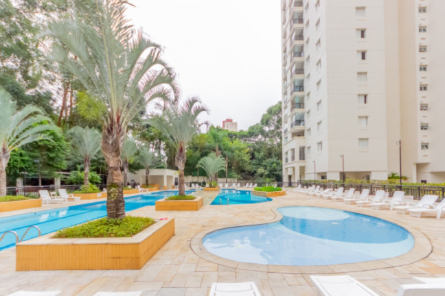 Imagem Apartamento com 3 Quartos à Venda, 82 m² em Vila Amélia - São Paulo Imagem Apartamento com 3 Quartos à Venda, 82 m² em Vila Amélia - São Paulo