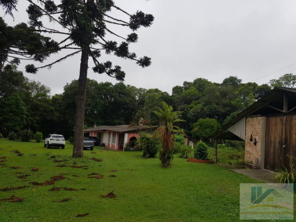 Imagem Chácara com 4 Quartos à Venda, 250 m² em Contenda - São José Dos Pinhais Imagem Chácara com 4 Quartos à Venda, 250 m² em Contenda - São José Dos Pinhais