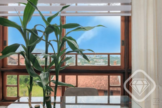 Imagem Casa com 3 Quartos à Venda, 183 m² em Ipanema - Porto Alegre
