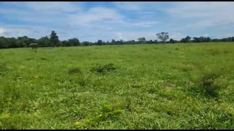 Imagem Fazenda à Venda, 1.352 m² em Rural - Vila Boa Imagem Fazenda à Venda, 1.352 m² em Rural - Vila Boa