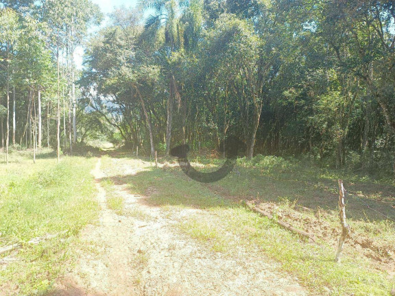 Imagem Chácara à Venda, 110 m² em Linha Travessa - Santa Cruz Do Sul
