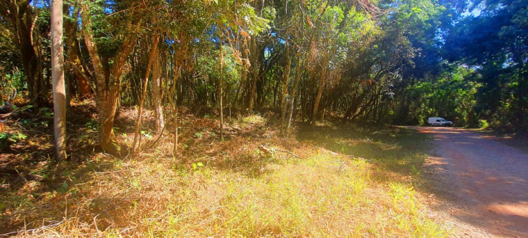 Imagem Imóvel à Venda, 700 m² em Recanto Dos Palmares - Atibaia Imagem Imóvel à Venda, 700 m² em Recanto Dos Palmares - Atibaia