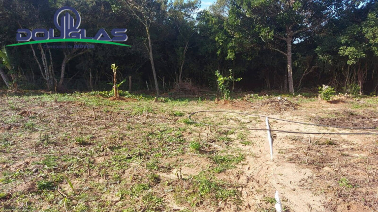 Imagem Chácara com 2 Quartos à Venda, 204.080 m² em Viamão Imagem Chácara com 2 Quartos à Venda, 204.080 m² em Viamão