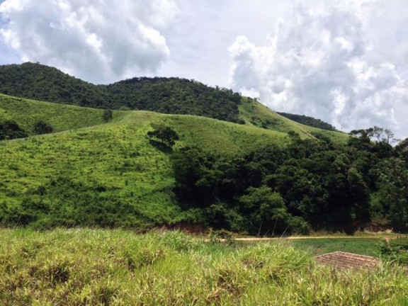 Imagem Fazenda à Venda, 100 m² em Vila Rica - Cunha Imagem Fazenda à Venda, 100 m² em Vila Rica - Cunha