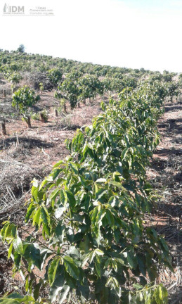 Imagem Chácara à Venda, 600.000 m² em Centro - Jacutinga Imagem Chácara à Venda, 600.000 m² em Centro - Jacutinga
