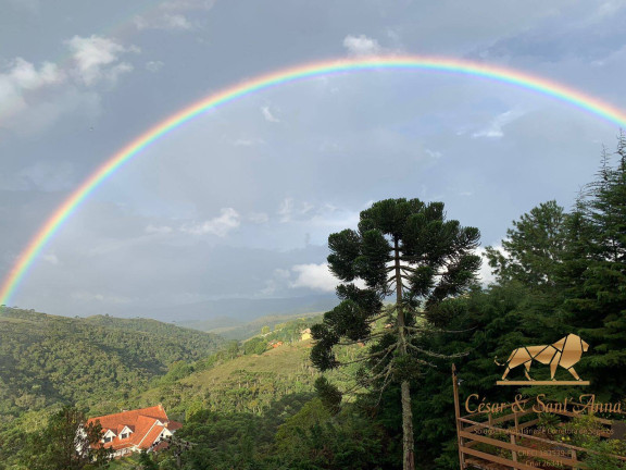 Imagem Casa com 4 Quartos à Venda, 5.330 m² em Pedra Do Fogo - Campos Do Jordão Imagem Casa com 4 Quartos à Venda, 5.330 m² em Pedra Do Fogo - Campos Do Jordão