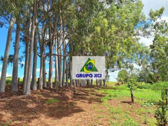 Imagem Fazenda à Venda, 185.000 m² em Zona Rural - Santo Antônio Da Alegria
