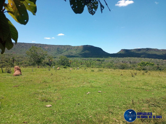 Fazenda à Venda, 38 m² em Zona Rural - Perolândia