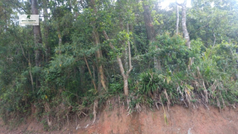 Imagem Terreno à Venda, 1.906 m² em Alto Da Serra - São Roque Imagem Terreno à Venda, 1.906 m² em Alto Da Serra - São Roque