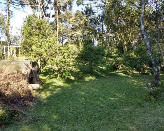 Imagem Imóvel com 4 Quartos à Venda,  em Centro - Morro Reuter