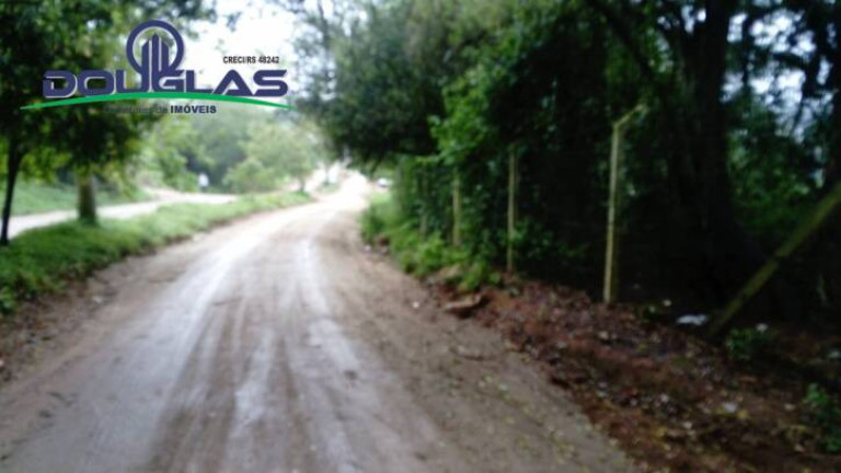 Imagem Terreno à Venda, 1.960 m² em Viamão Imagem Terreno à Venda, 1.960 m² em Viamão
