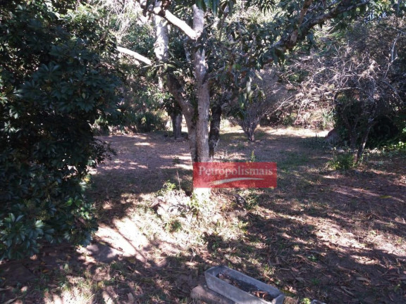 Imagem Fazenda à Venda, 51.000 m² em Areal - Areal
