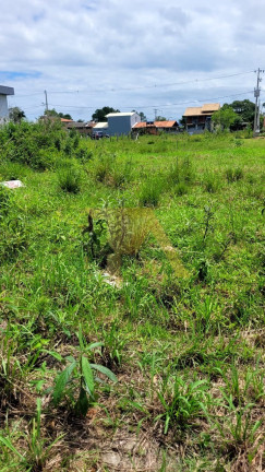 Imagem Terreno à Venda, em Campo Duna - Imbituba Imagem Terreno à Venda, em Campo Duna - Imbituba