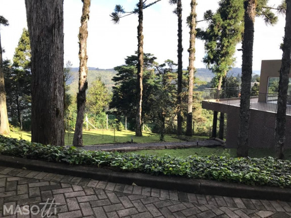 Imagem Apartamento com 1 Quarto à Venda, 11.788 m² em Centro - Gramado