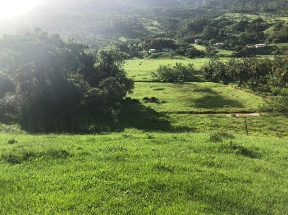 Imagem Terreno à Venda, em Macacu - Garopaba Imagem Terreno à Venda, em Macacu - Garopaba