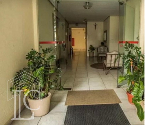 Imagem Apartamento com 2 Quartos à Venda, 55 m² em Jabaquara - São Paulo Imagem Apartamento com 2 Quartos à Venda, 55 m² em Jabaquara - São Paulo