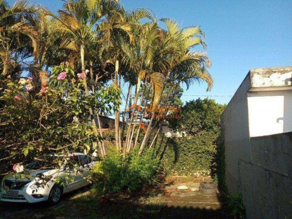 Imagem Terreno à Venda, 250 m² em Jardim Presidente Dutra - Guarulhos Imagem Terreno à Venda, 250 m² em Jardim Presidente Dutra - Guarulhos