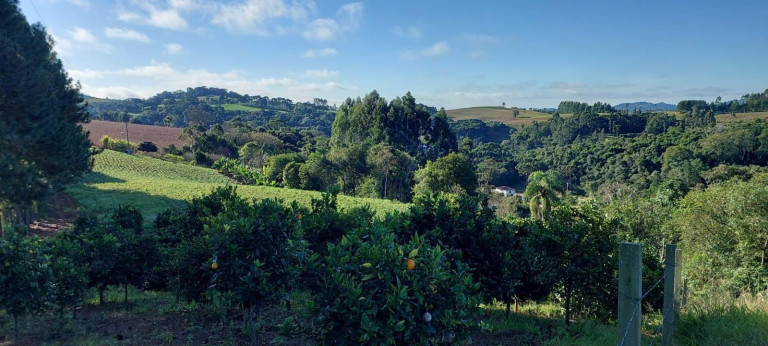 Imagem Chácara com 2 Quartos à Venda, 1 m² em Bateias - Campo Largo