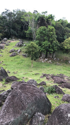 Imagem Terreno à Venda, 10.000 m² em Macacu - Garopaba Imagem Terreno à Venda, 10.000 m² em Macacu - Garopaba