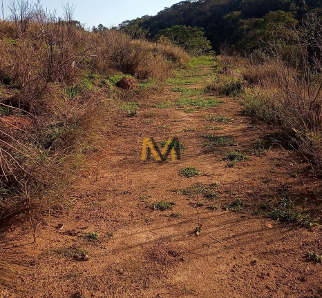 Imagem Terreno à Venda, 7.000 m² em Capoavinha - Mairiporã