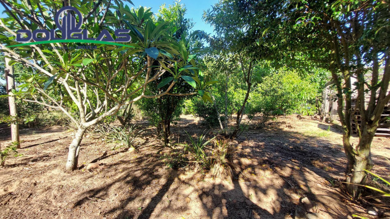 Imagem Terreno à Venda, em águas Claras - Viamão Imagem Terreno à Venda, em águas Claras - Viamão