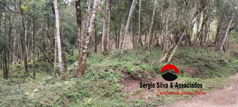 Imagem Terreno à Venda, em Campos Do Jordão Imagem Terreno à Venda, em Campos Do Jordão