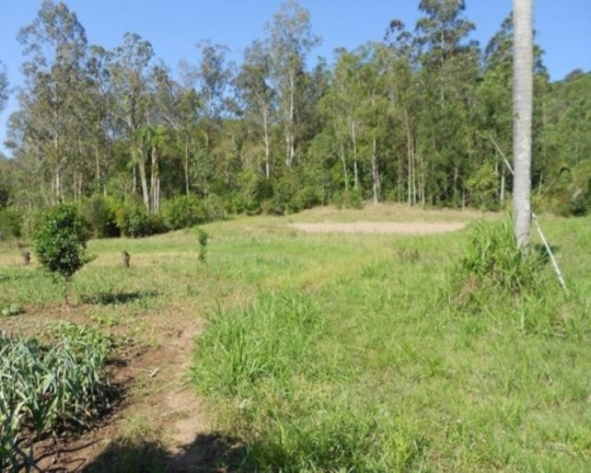 Imagem Terreno à Venda, 7 m² em Linha Temerária - Nova Petrópolis Imagem Terreno à Venda, 7 m² em Linha Temerária - Nova Petrópolis
