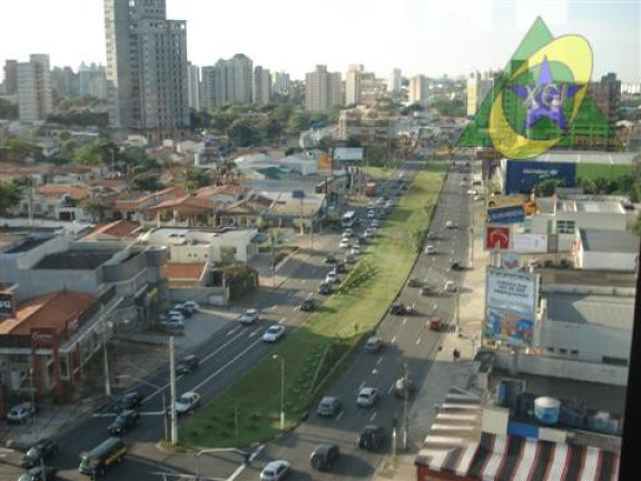 Imagem Sala Comercial para Alugar, 238 m² em Cambuí - Campinas Imagem Sala Comercial para Alugar, 238 m² em Cambuí - Campinas