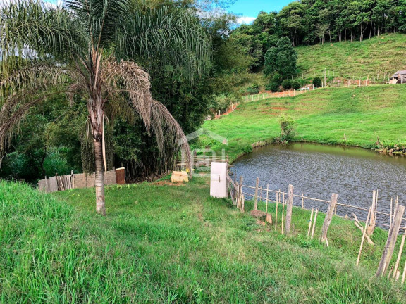 Imagem Imóvel com 2 Quartos à Venda, 1 m² em Correias (rural) - Bandeira Do Sul