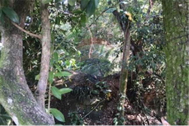 Imagem Terreno à Venda, 600 m² em Vargem Pequena - Rio De Janeiro