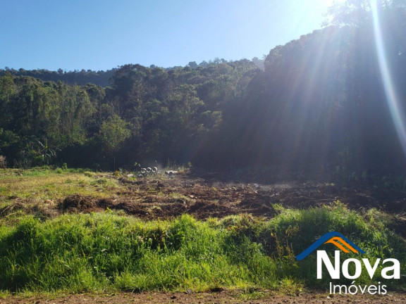 Imagem Imóvel à Venda, 672 m² em Pinhal Alto - Nova Petrópolis