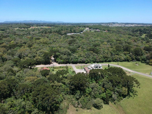 Imagem Terreno à Venda, em Planta Laranjeiras - Piraquara Imagem Terreno à Venda, em Planta Laranjeiras - Piraquara