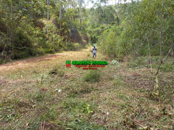 Imagem Chácara à Venda, 30.000 m² em Centro - Monteiro Lobato Imagem Chácara à Venda, 30.000 m² em Centro - Monteiro Lobato