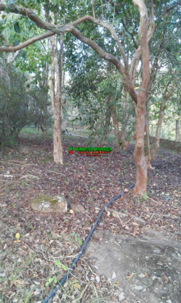 Imagem Chácara com 3 Quartos à Venda, 3.000 m² em Paraibuna Imagem Chácara com 3 Quartos à Venda, 3.000 m² em Paraibuna