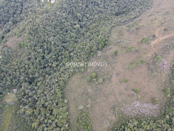 Imagem Imóvel à Venda, 162.000 m² em Região Do Alto Do Capivari - Campos Do Jordão Imagem Imóvel à Venda, 162.000 m² em Região Do Alto Do Capivari - Campos Do Jordão