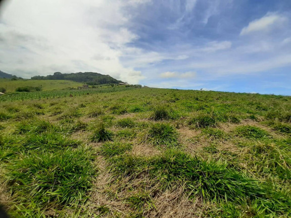 Imagem Terreno à Venda, 1.900 m² em Taubaté