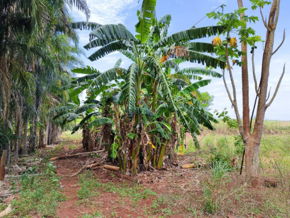 Imagem Chácara com 2 Quartos à Venda, 42 m² em Bandeirantes